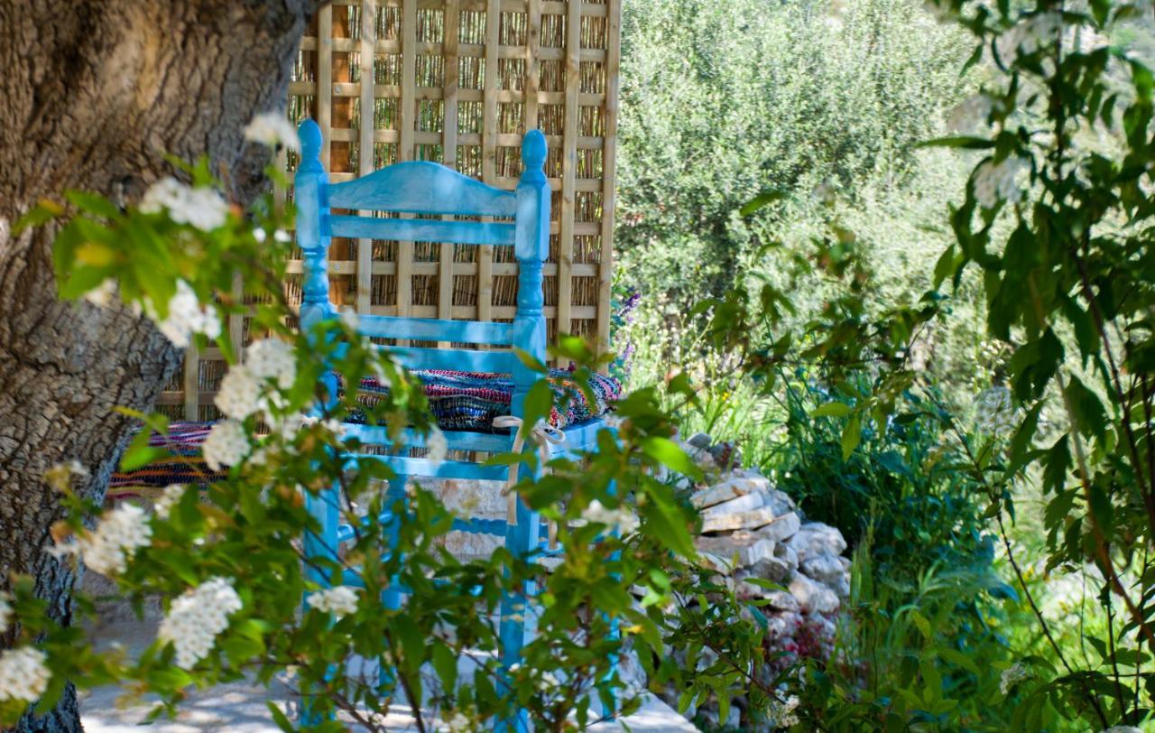 ואטי The Olive Cottage - Ithaca מראה חיצוני תמונה