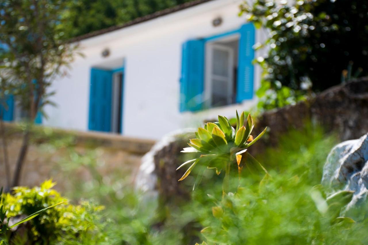 ואטי The Olive Cottage - Ithaca מראה חיצוני תמונה