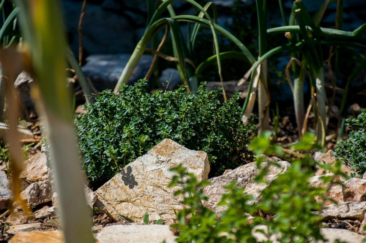ואטי The Olive Cottage - Ithaca מראה חיצוני תמונה